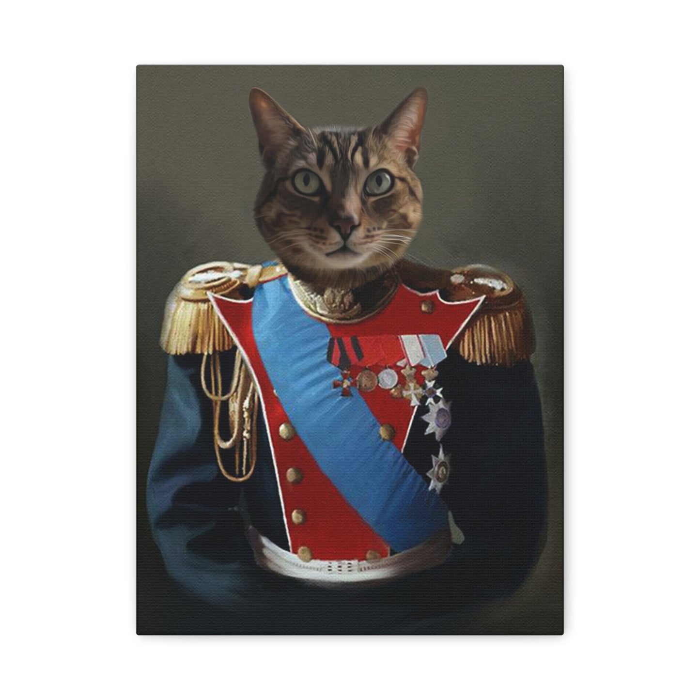 Lienzo General