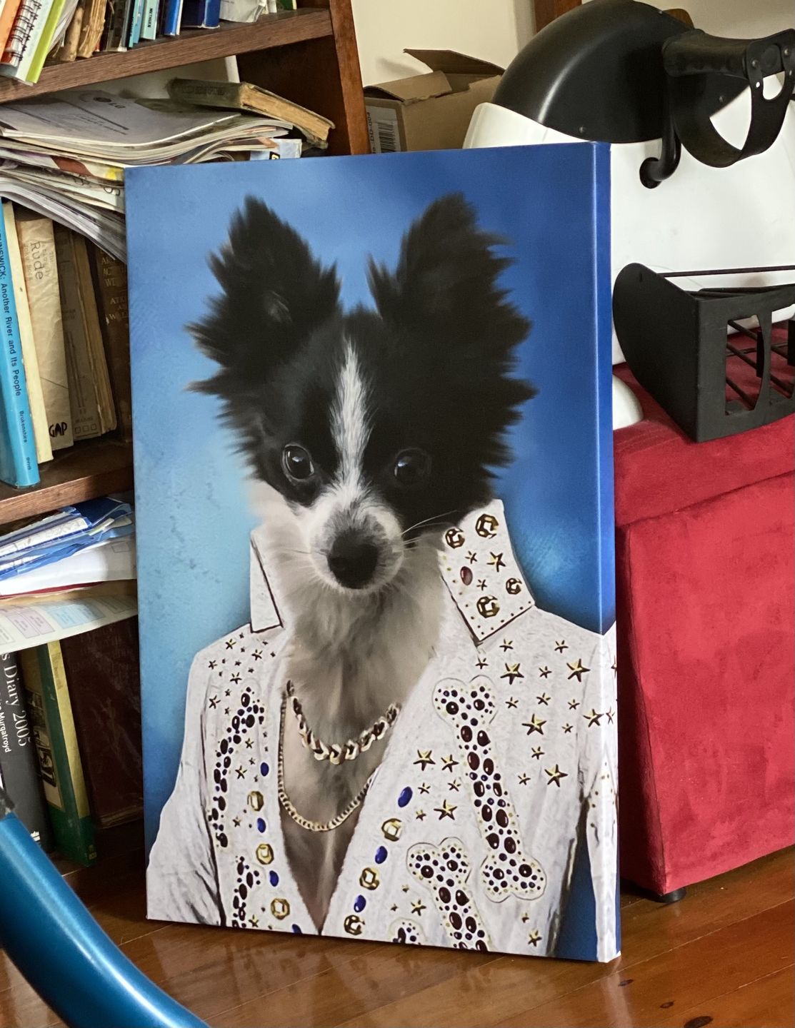 Retrato pelis y ocupaciones