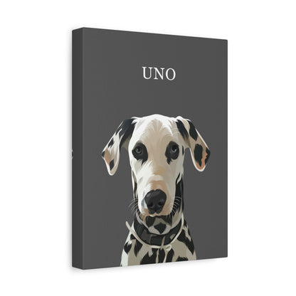 Lienzo Realista