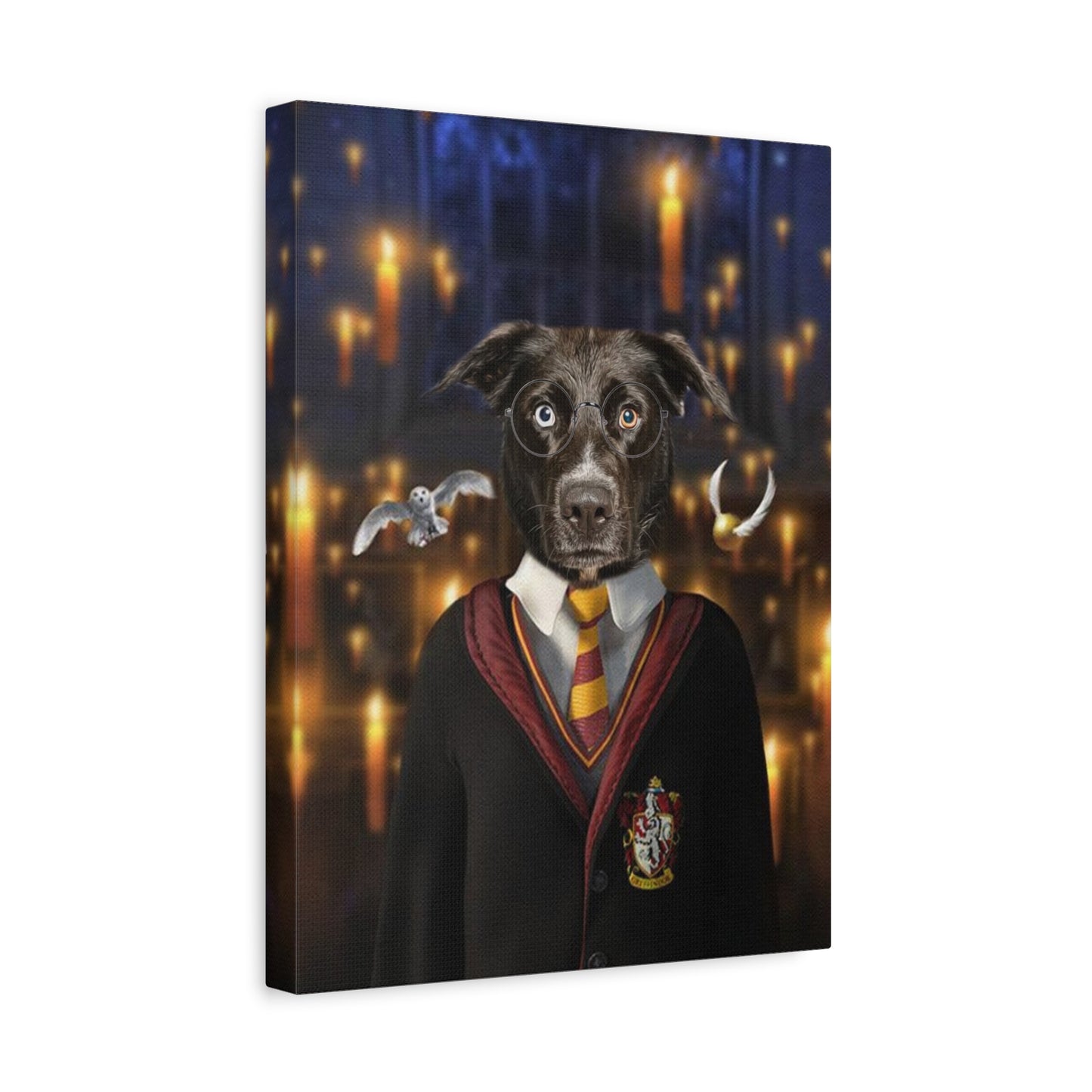 Lienzo Harry Potter