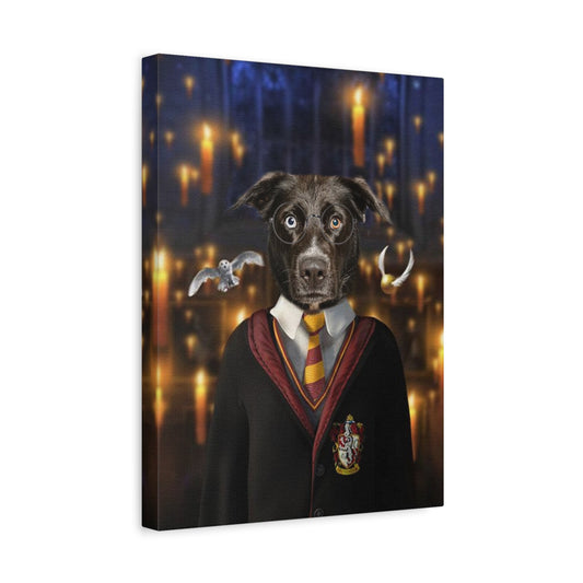 Lienzo Harry Potter